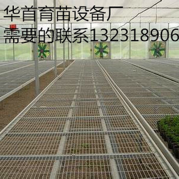 安平华首厂家主要生产温室苗床网，移动苗床，蔬菜苗床网，质量