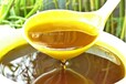 大量批发供应油菜籽中国油菜产业网菜籽油