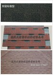 浙江天信多彩沥青瓦厂家双层标准型图片3