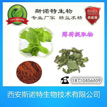 西安斯诺特提取物出售批发薄荷提取物10:1/银丹草提取物/夜息香提取物