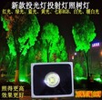 LED七彩投光灯户外变色彩色泛光灯防水射灯园林景观照树灯绿化灯图片