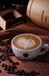 绥化首次做咖啡进口需要提供什么材料