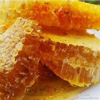 进口蜂蜜有鼓励政策吗
