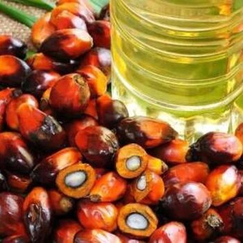 天津棕榈油进口海运的好处