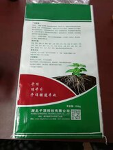 广西粉状细晶体200目细晶体对优势出口图片