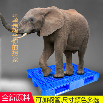 武汉销售1210川字塑料托盘服务周到,防潮垫板