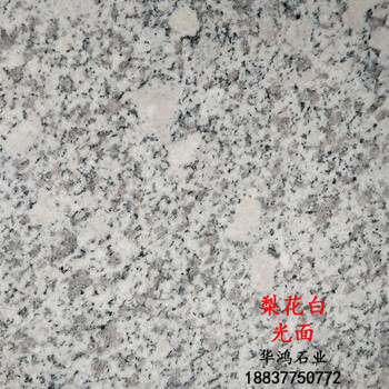 磨光面梨花白芝麻白白麻珍珠白花崗巖G735廠家