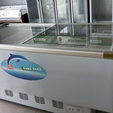 凌雪商用岛柜速冻冰柜水饺汤圆展示柜便利店冷柜厂家批发供应图片