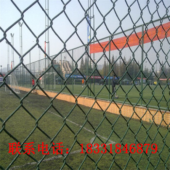 足球场围网厂家，安平县环航足球场围网厂家供应聊城足球场围网