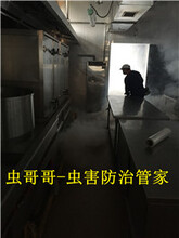 龍崗殺臭蟲公司龍崗滅臭蟲公司龍崗殺臭蟲公司