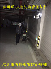 南山殺臭蟲公司南山殺蟲公司