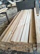 菏泽加拿大松木板材