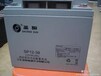 圣阳蓄电池SP12-38铅酸免维护12V38AH直流屏EPS电源专用