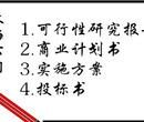 方案代写凉山磋商文件凉山磋商文件满意为止图片