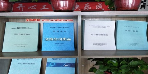 邯郸大名县能编写可行性研究报告-审批可研报告