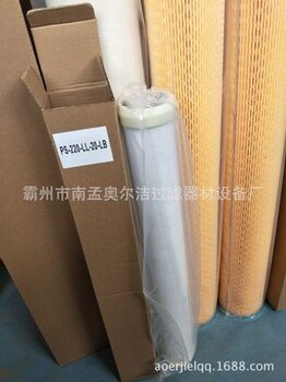 天然氣PCHG-336濾芯