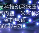 城光科技幻彩低压软灯条内置IC一米60段60灯图片