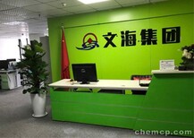 鄂州梁子湖编写投标书-互联网项目图片5