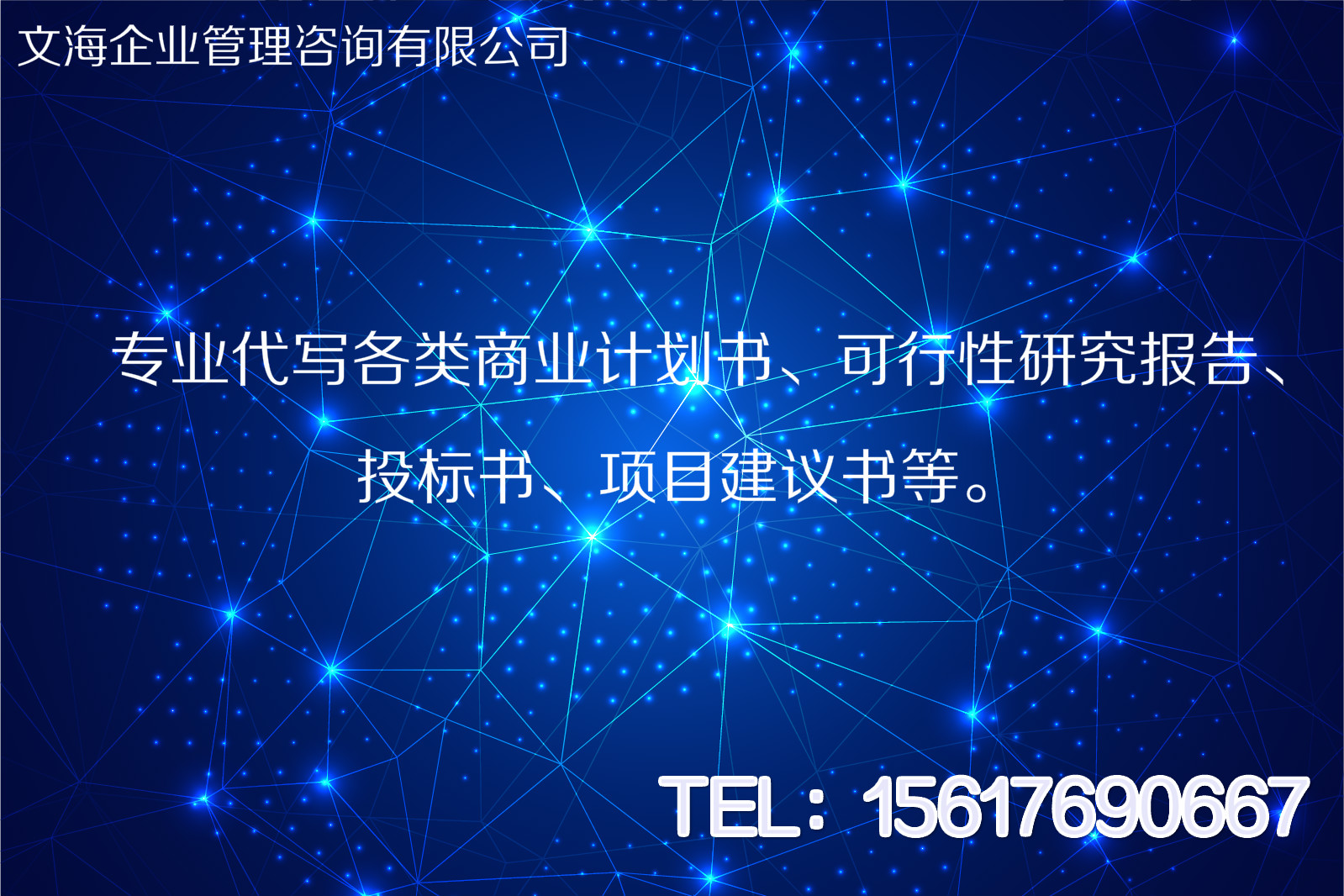 乐山可报告书创写好文案让您省时省力省心