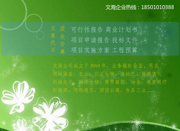 廣州專注寫可行性研究報(bào)告 公司*狀態(tài)好寫的報(bào)告好的