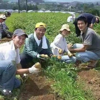 出国劳务有保障的公司塔吊司机叉车司机劳务输出