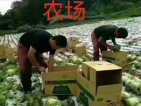 国外合法打工木工瓦工(吉林劳务输出欢迎你！图片2