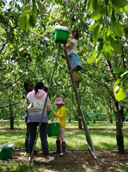 江苏常州出国打工叉车司机弱电工出国劳务包吃住月薪3.5万包吃住