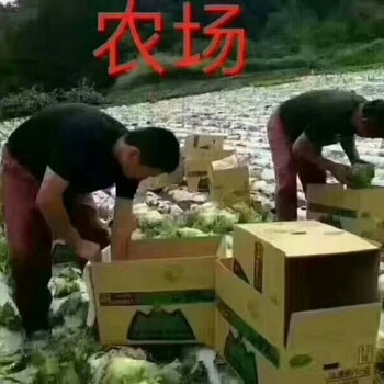 湖北随州曾都区派遣公司办理出国钢筋工水电工劳务输出