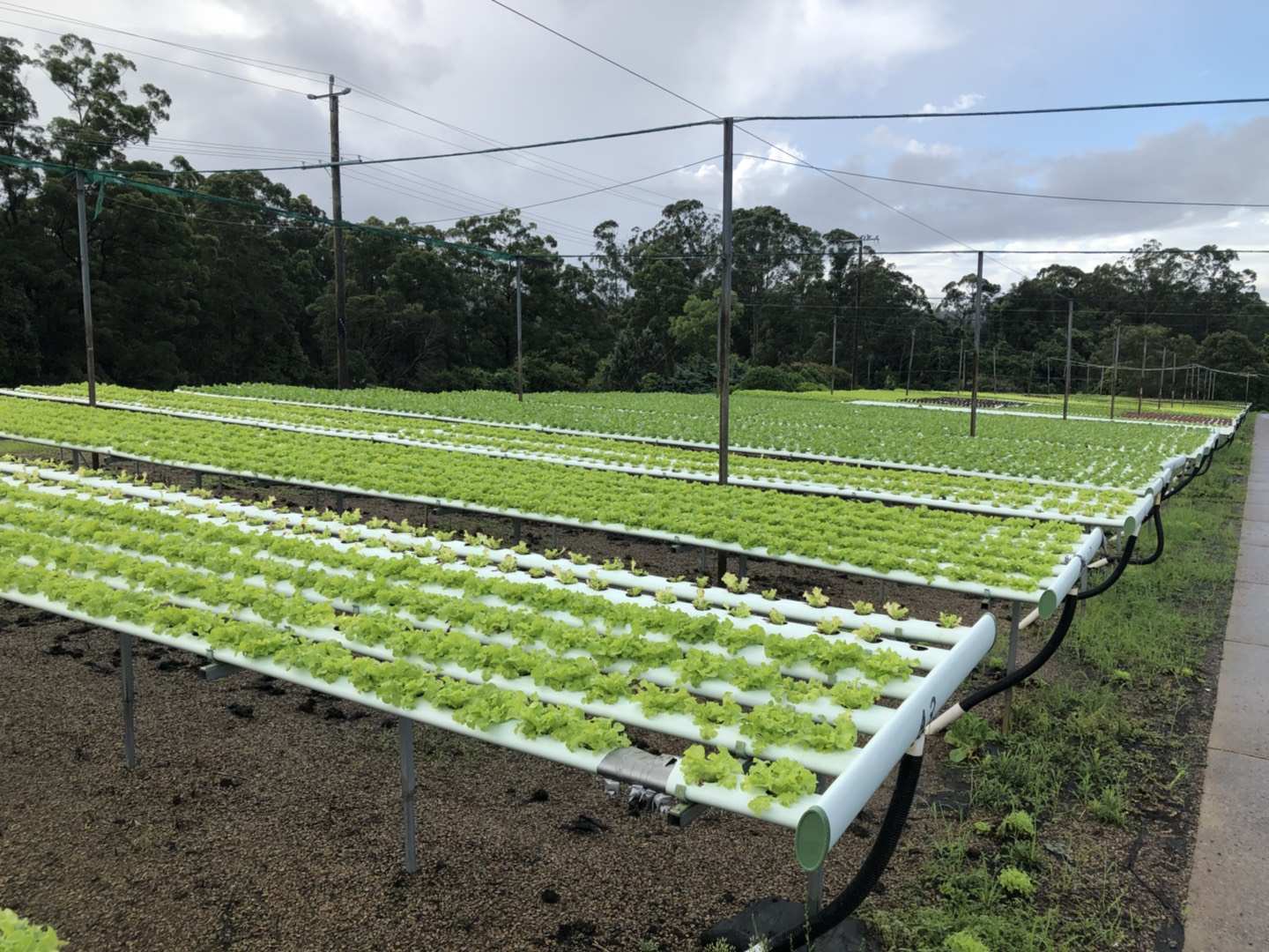 江苏徐州贾汪区保签出国劳务装修木工瓦工劳务输出