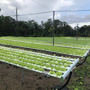 江西上饶万年国外合法打工油漆工电工月薪3.5万保底包吃住