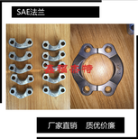 鑫福杰特ISO6164FFA/FFK-5SAE方法兰，不锈钢SAE法兰图片3