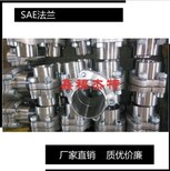 鑫福杰特ISO6164-1方形法兰不锈钢SAE法兰图片5