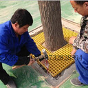 高品質(zhì)樹篦子--晶寶玻璃鋼格柵專業(yè)廠家