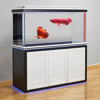 保定鑫德龍水族鋁合金彩蝶新品
