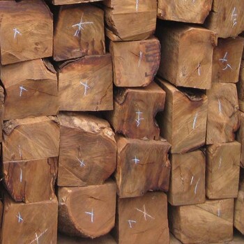 广州进口木材办理濒危证/非濒危物种证明