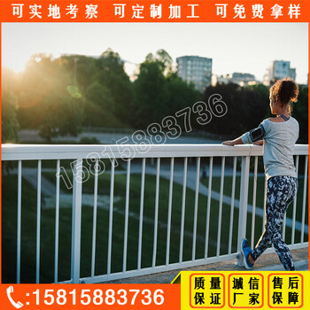 清遠(yuǎn)街道修繕工程市政護(hù)欄供應(yīng)梅州人行道欄桿現(xiàn)貨韶關(guān)機(jī)動(dòng)車(chē)分隔護(hù)欄