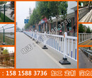 市政护栏网品牌广州交通防护栏生产厂肇庆乙型人行道铁栏杆定做图片