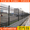 中护围栏铁艺围栏,广州逼真小区锌钢护栏放心省心
