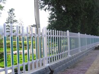 韶关公园草坪PVC塑钢护栏定做广庭院塑钢护栏生产厂家图片4