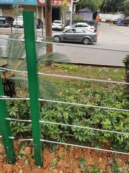 广州绿化带隔离栏生产厂家绿化带钢丝绳护栏定做价格