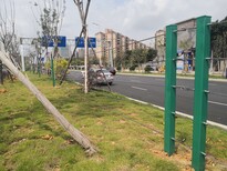 广州绿化带隔离钢丝绳护栏生产安装厂家图片3