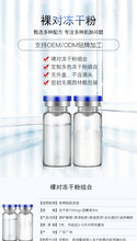 冻干粉oem祛印疤痕修护寡肽冻干粉