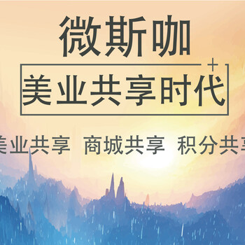 广州微斯咖定制微商代理管理系统