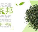 白城开在大学校园的乌茶邦奶茶加盟店怎么装修？图片