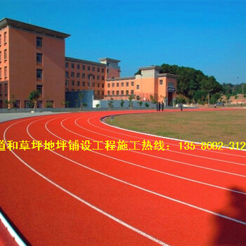 学校体育中心EPDM塑胶跑道运动场耐基地坪涂料及施工行业