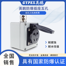 供应英鹏工业防爆插座五孔接线板86型220V图片
