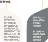 中国农综网致力于打造中国农业领域顶尖级电子商务平台