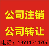 北京现有投资公司执照转让随时可看图片2