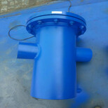 河北厂家供应SBL-16C碳钢篮式过滤器直通式蓝式过滤器提篮式除污器DN25-600图片2