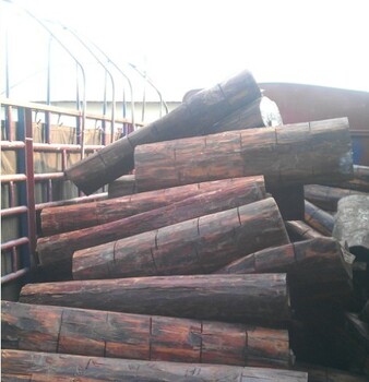 柞木等木材进口代理木材进口清关